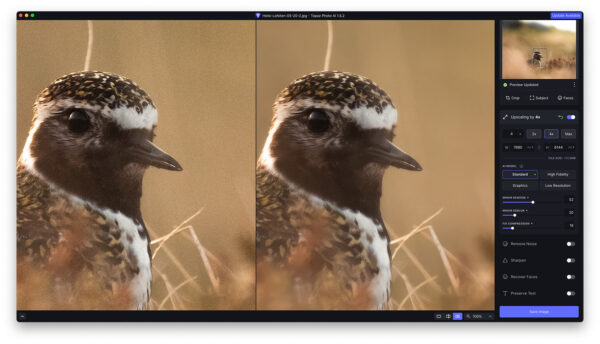Topaz Labs Photo AI - Image 5